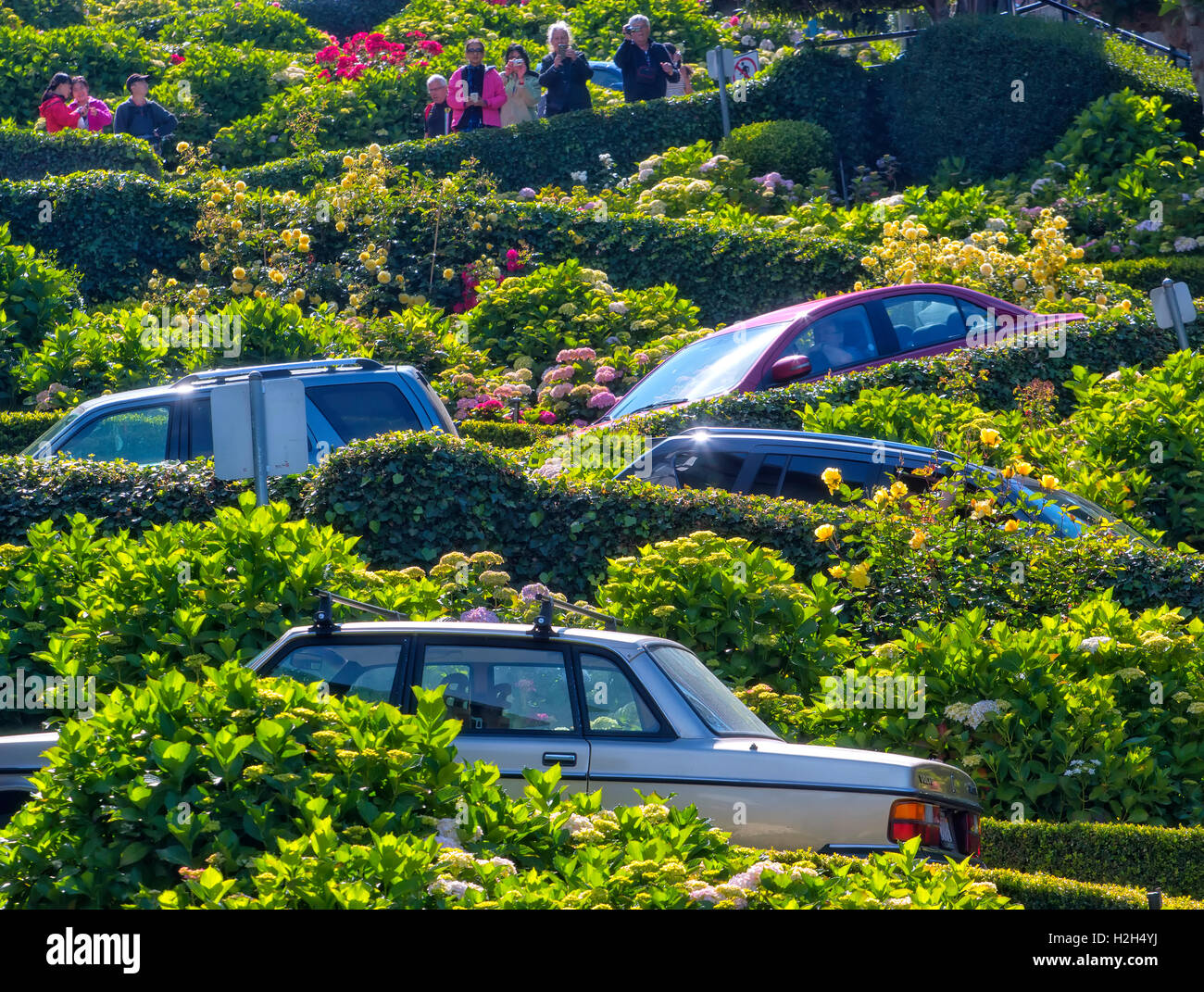 Cars in Lombard street, San Francisco Stock Photo Alamy