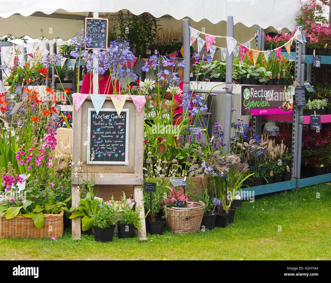 Part of the exhibit staged by Rectory Garden Plants a nursery in
