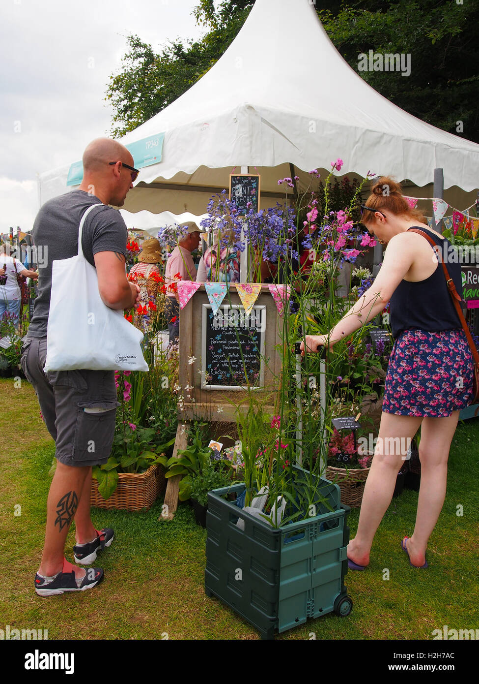 Two visitors a caucasian man and woman, admiring the exhibit staged by Rectory Garden Plants, at Tatton Park Flower Show, Cheshire, 2016. Stock Photo
