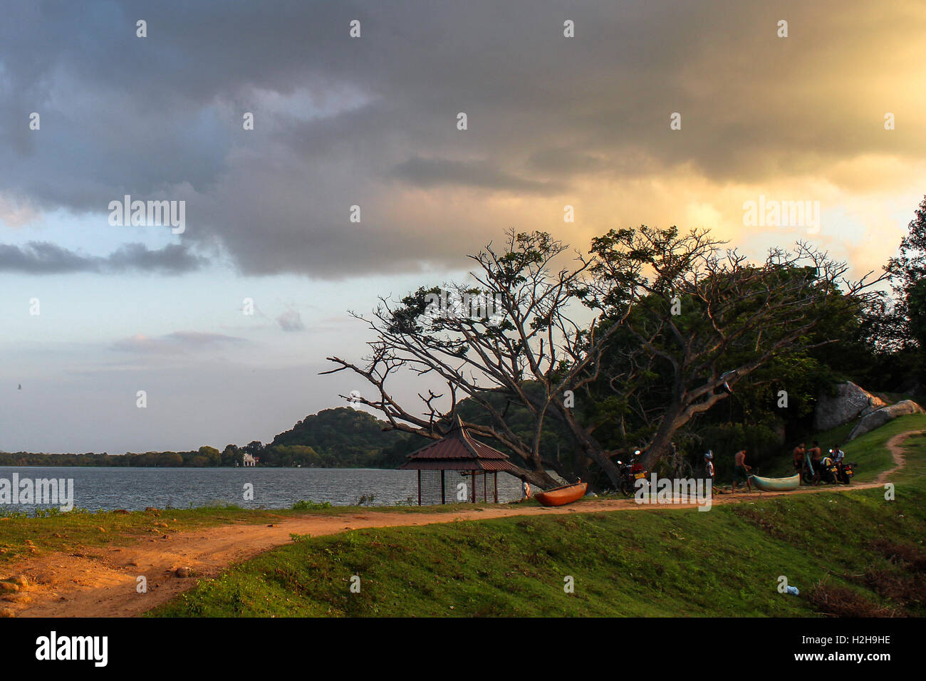 Sri Lanka Lake Landscape Stock Photo