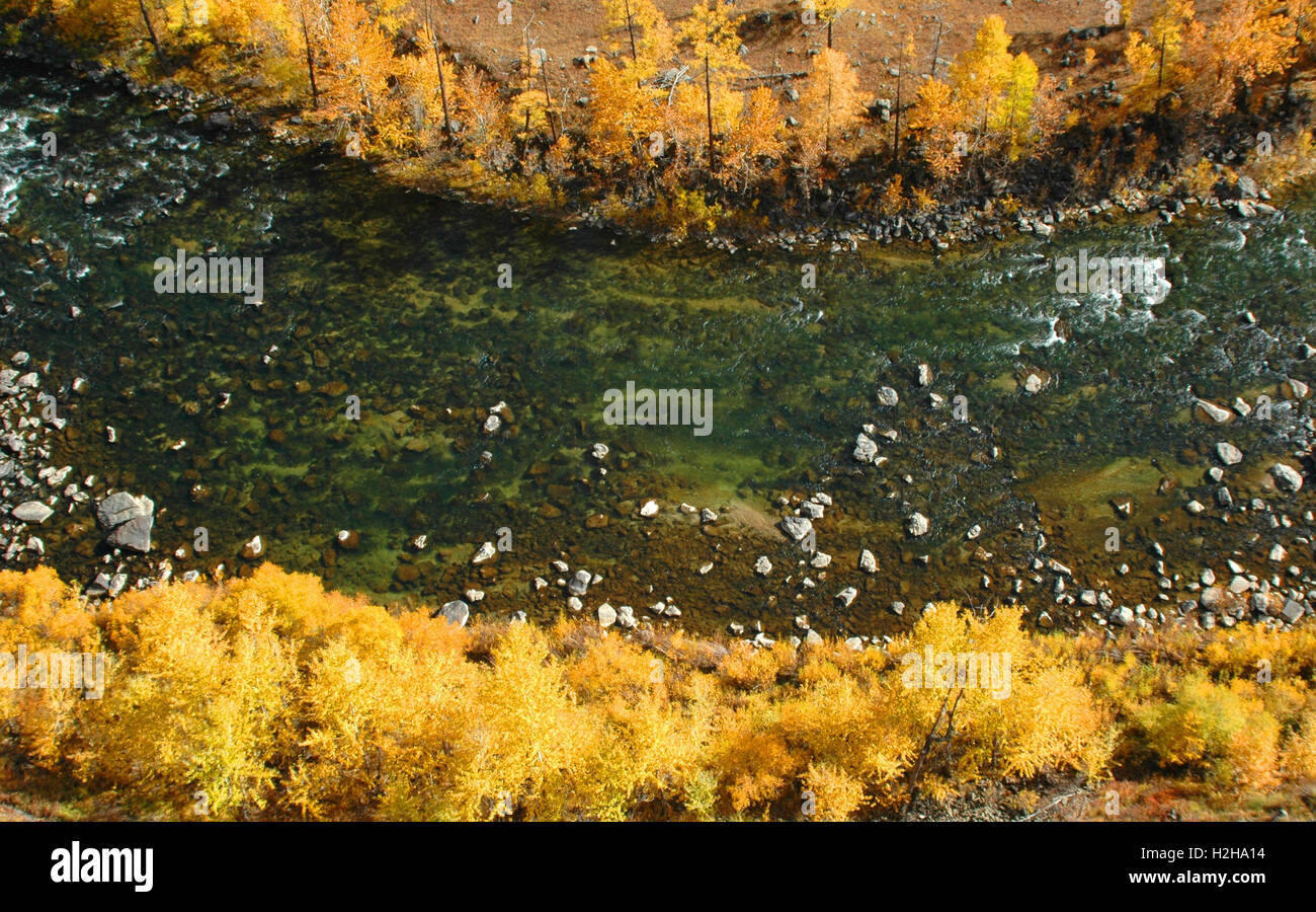 Autumn foliage frames the Chuluut River, Arkhangai Aimag, Mongolia Stock Photo