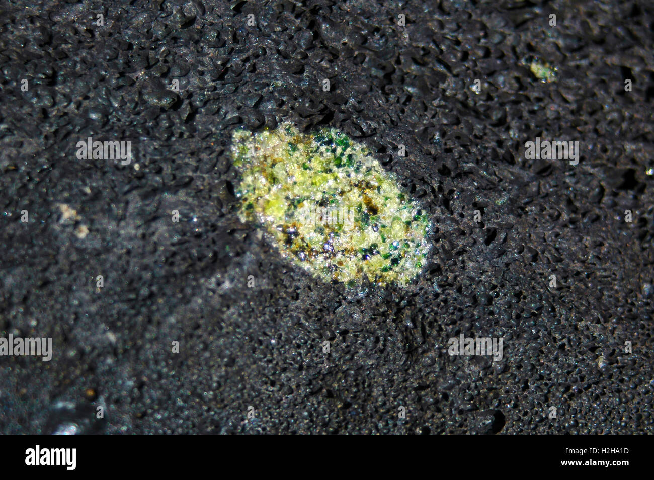 Mantle xenolith in basalt from the Chuluut volcanic field, Arkhangai  Aimag, Mongolia Stock Photo