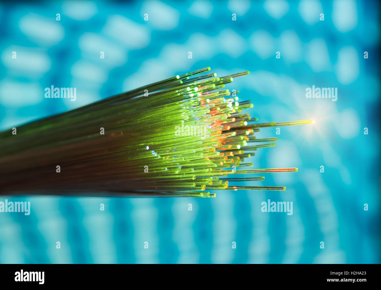 fiber optical network cable Stock Photo Alamy