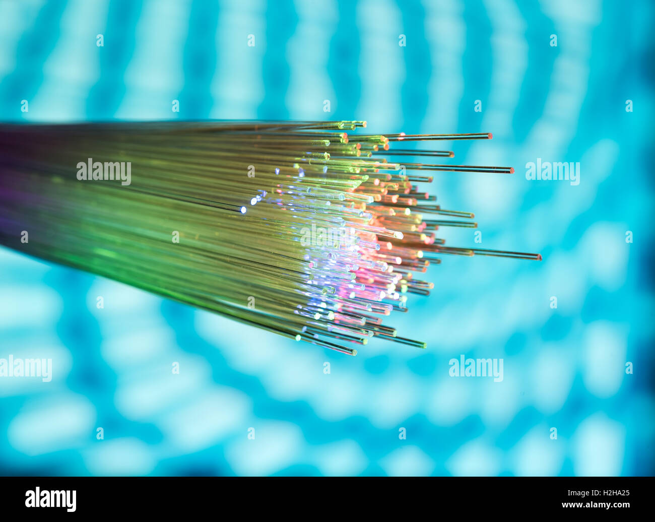 fiber optical network cable Stock Photo