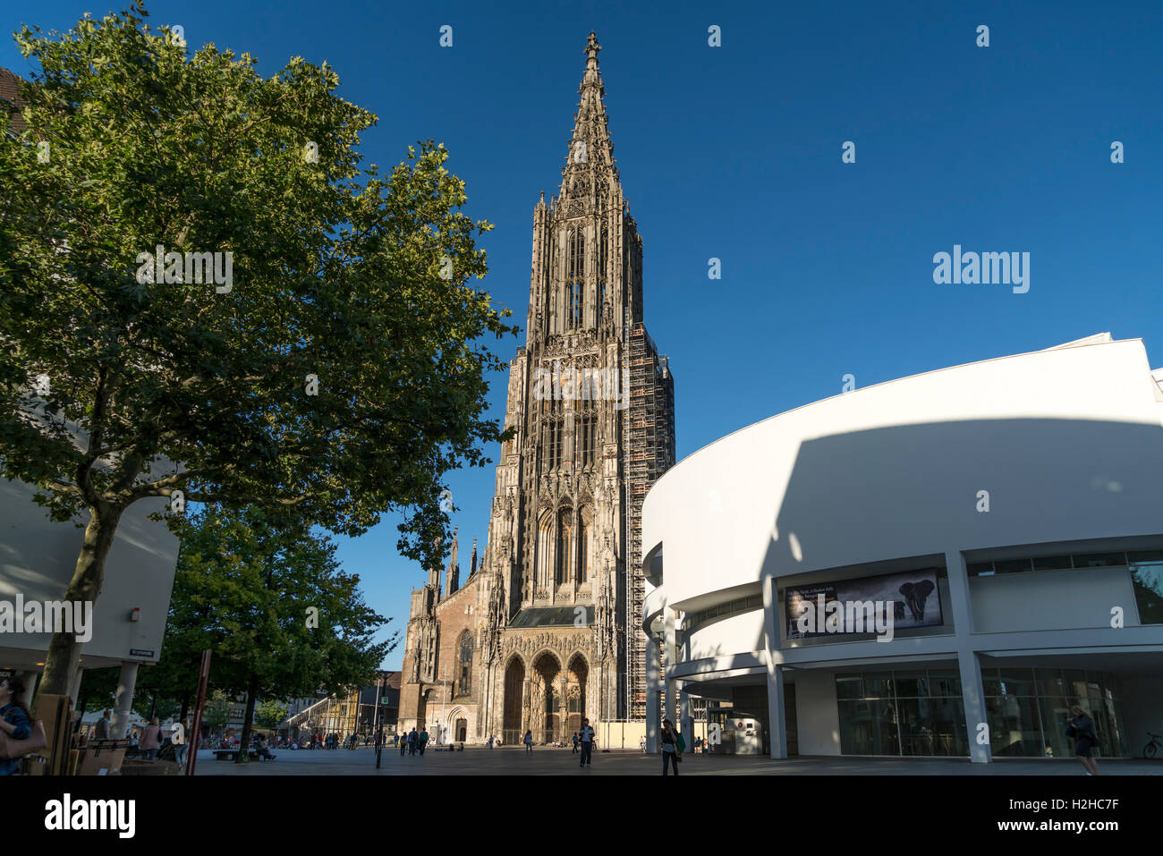 Ulm Minster and Stadthaus city house, Ulm, Baden-Württember Stock Photo