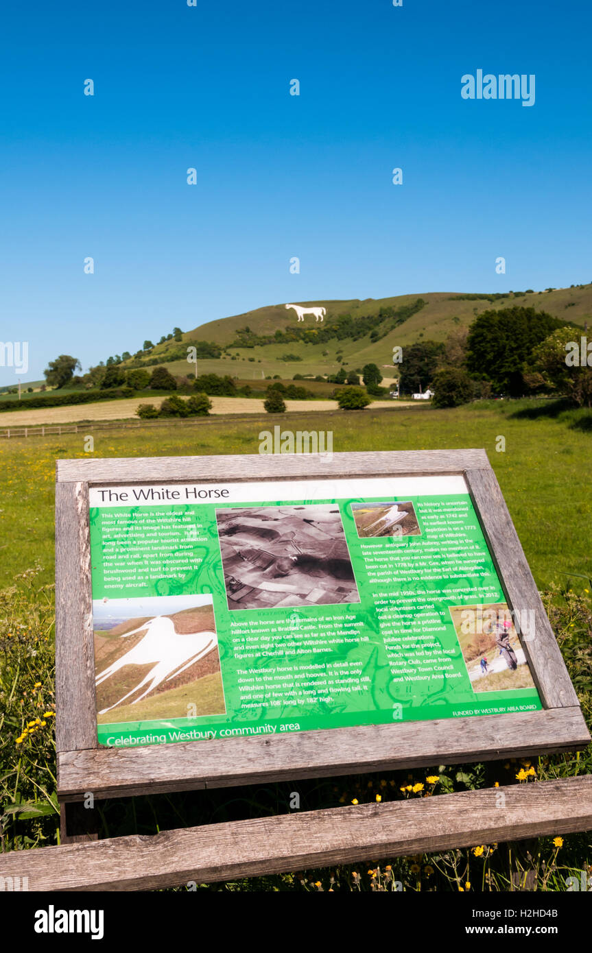 Interpretative sign about Westbury White Horse chalk figure, which is seen in the background. Stock Photo