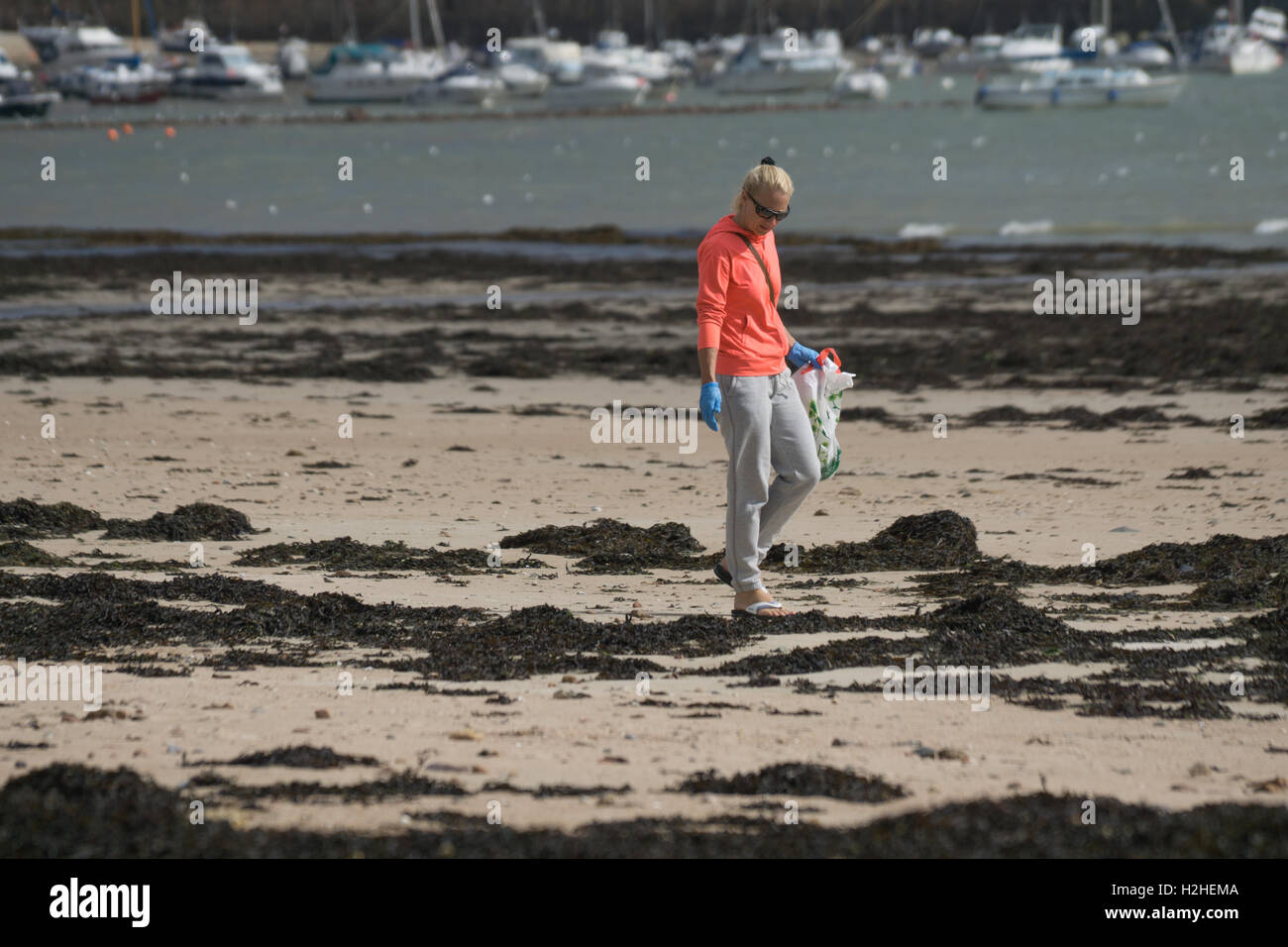 Grouville beach jersey hi-res stock photography and images - Alamy