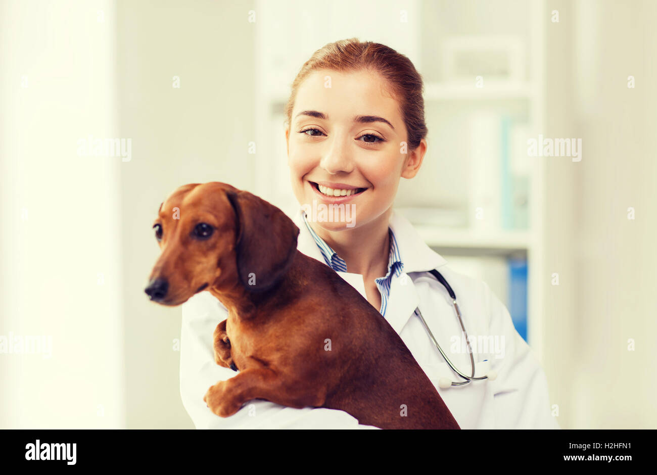 happy doctor with dog at vet clinic Stock Photo Alamy