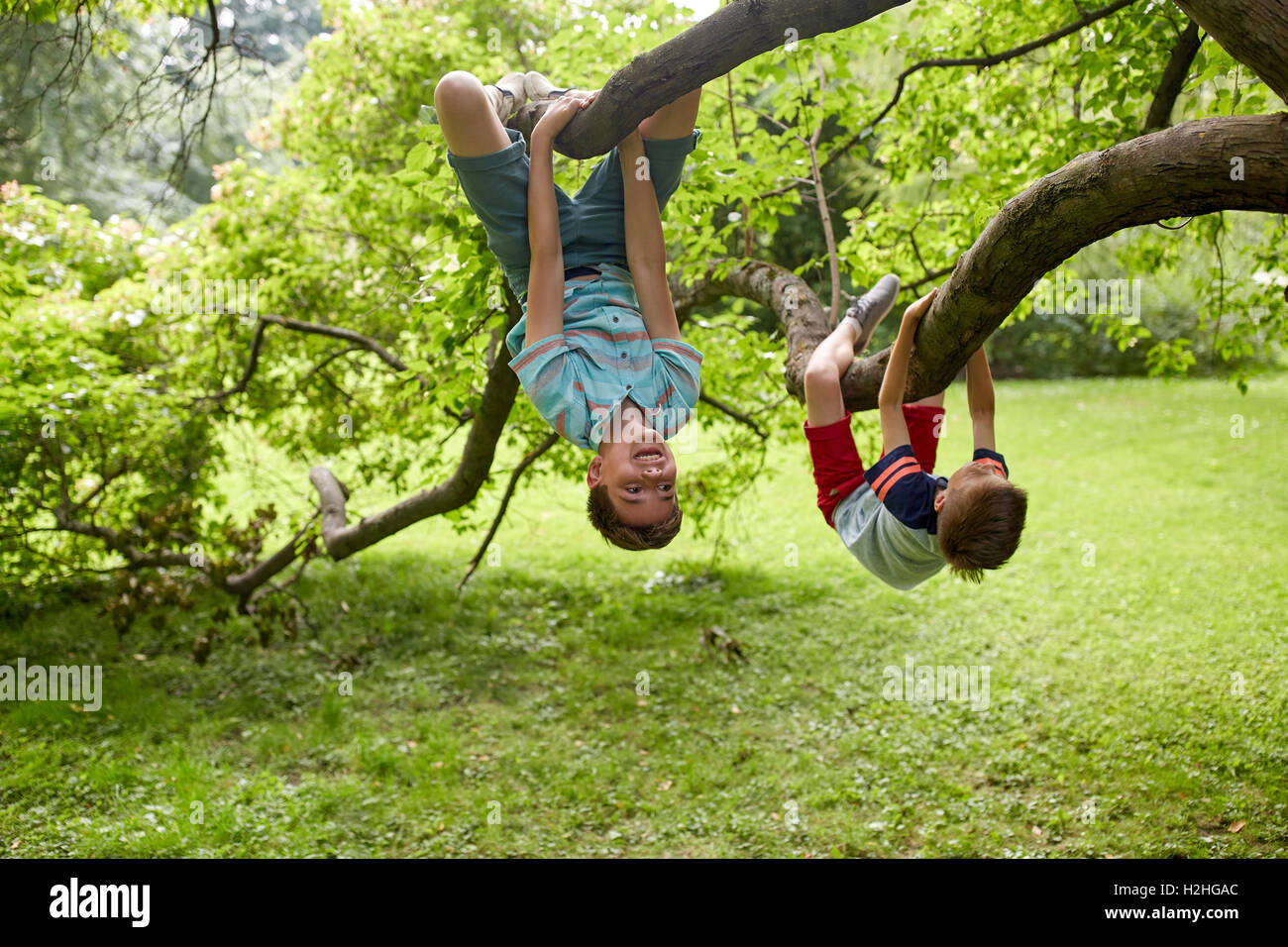 two happy boys hanging on tree in summer park Stock Photo