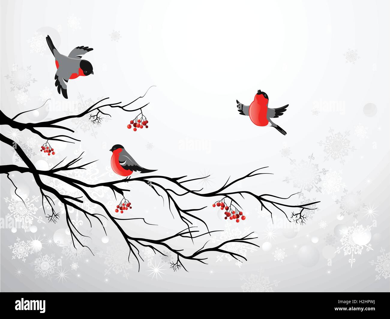 Rowan tree birds Stock Vector Images - Alamy