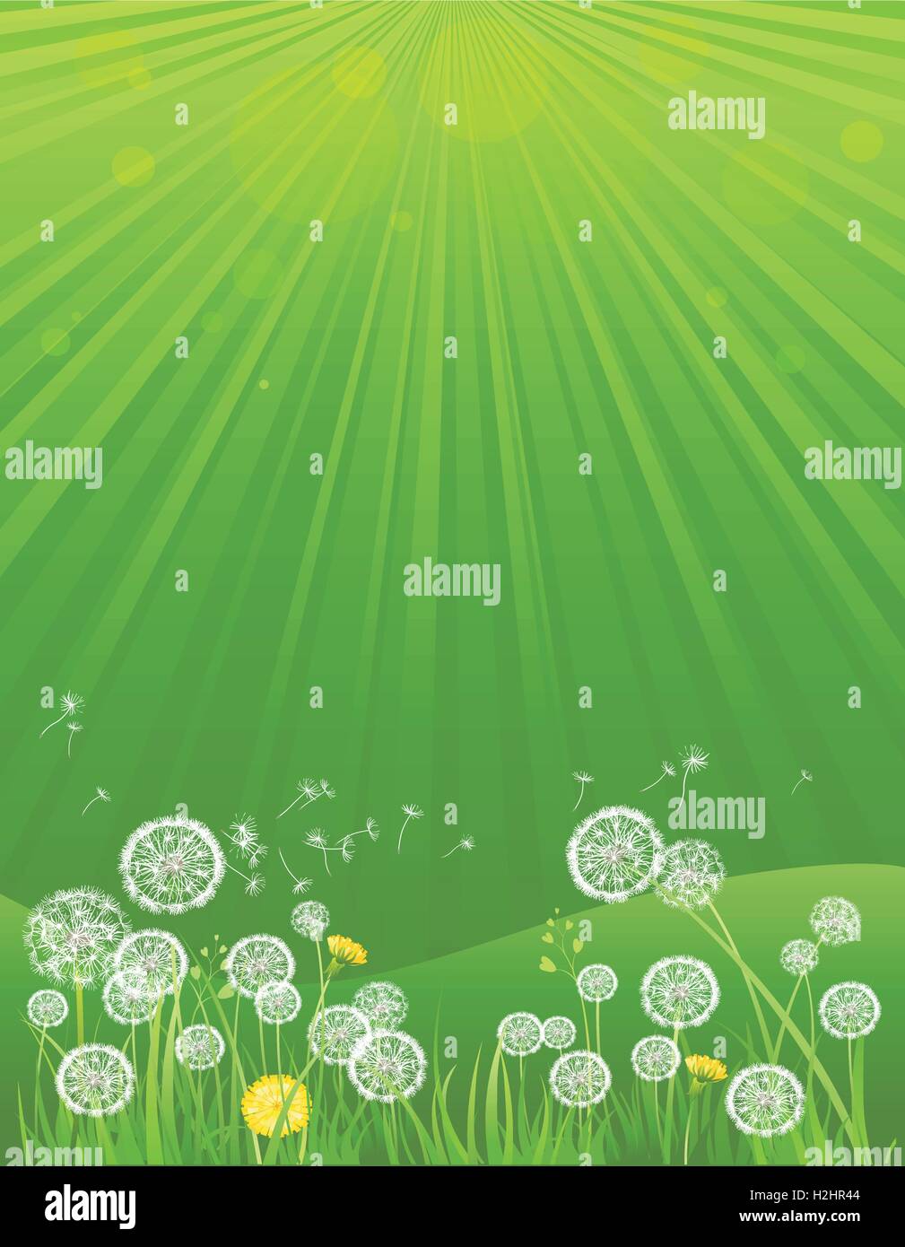 Green summer background Stock Vector Image & Art - Alamy