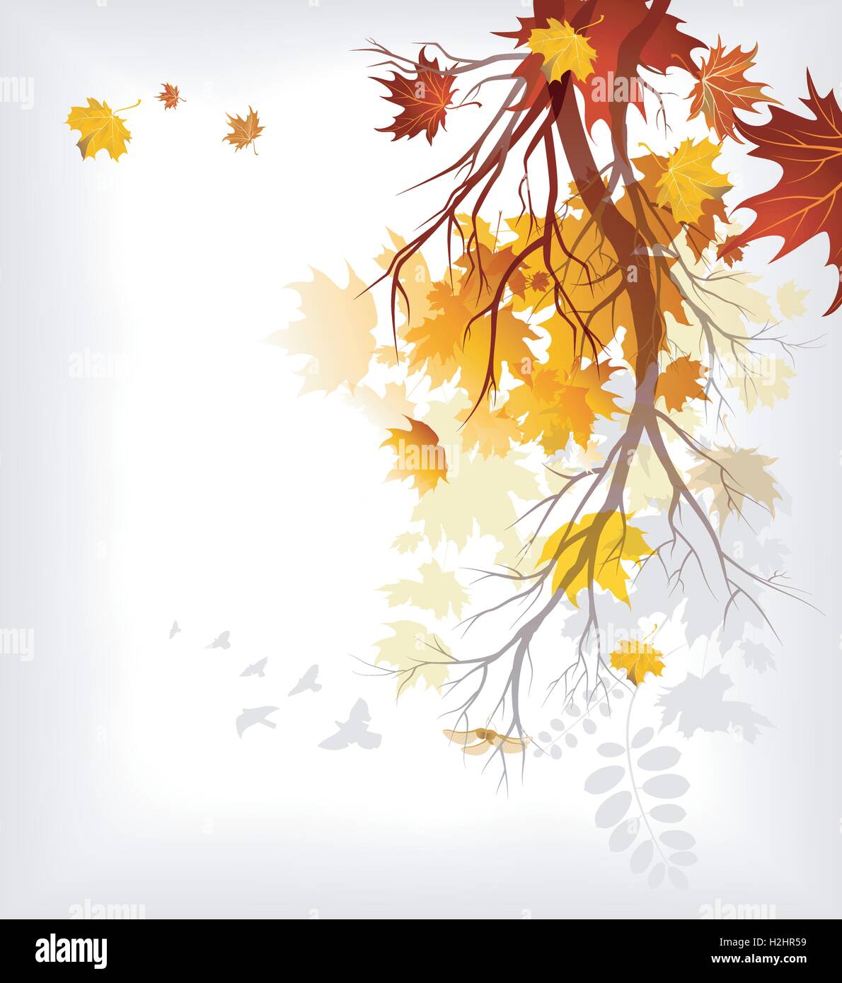 Maple autumn leaves Stock Vector Image & Art - Alamy