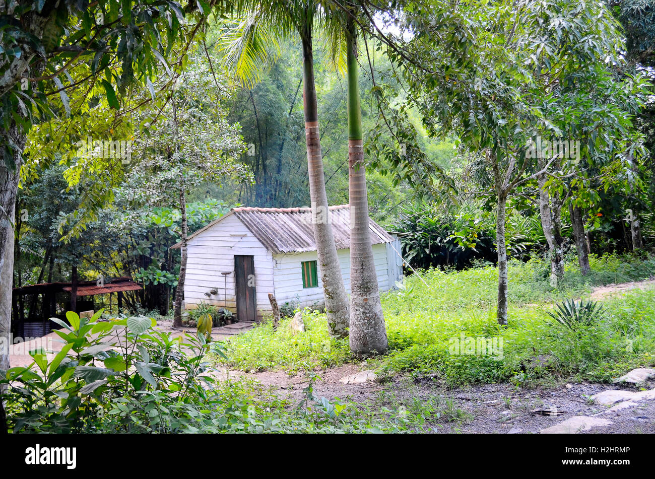 Typical small wooden house in Las Terrazas Biosphere Reserve - Cuba Stock Photo