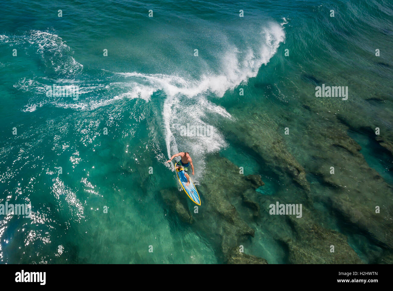 Banzai Pipeline's Instagram, Twitter & Facebook on IDCrawl