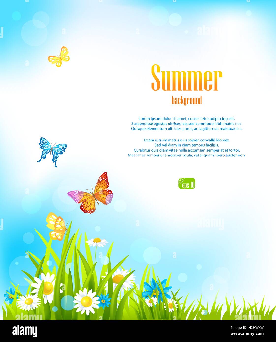 Summer vector background Stock Vector Image & Art - Alamy