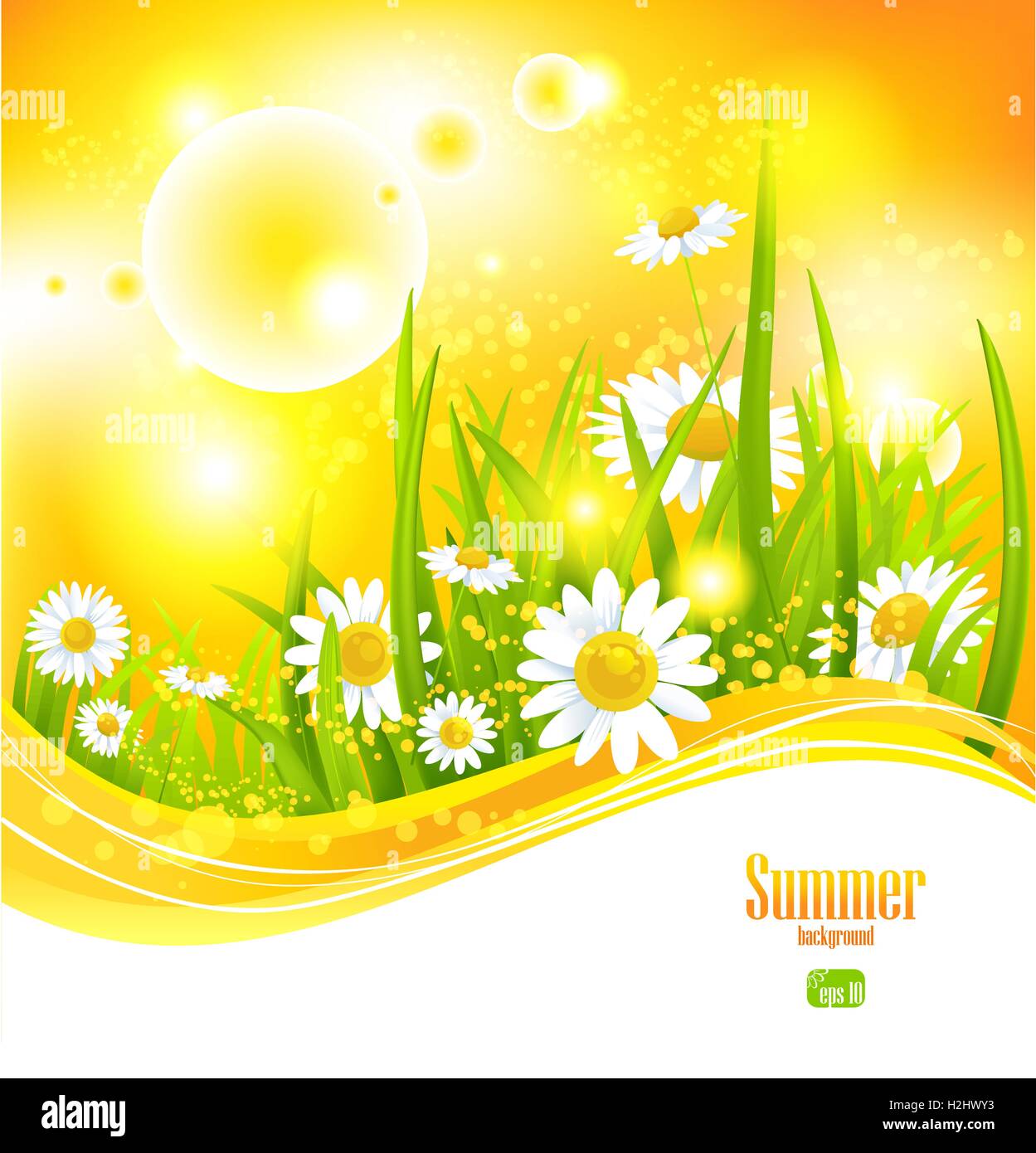 Sunny summer background Stock Vector Image & Art - Alamy