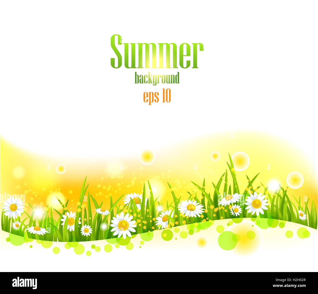 Bright flower background Stock Vector Image & Art - Alamy
