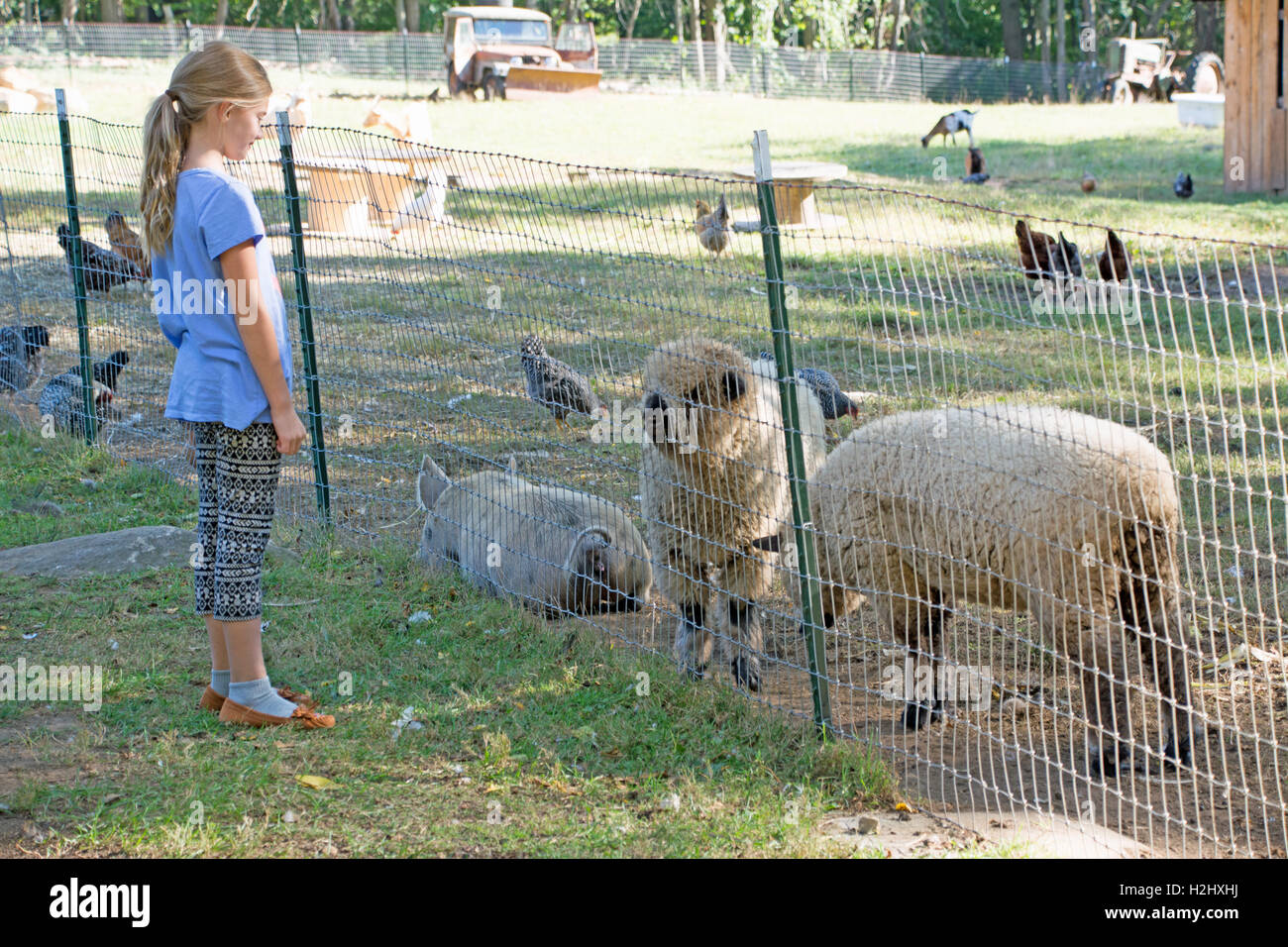 Cute Girl at the Farm Stock Photo - Alamy