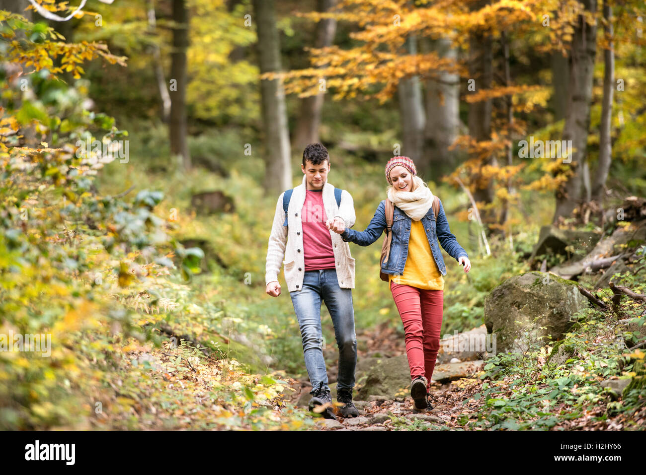 Beautiful couple on a walk in sunny autumn forest Stock Photo - Alamy