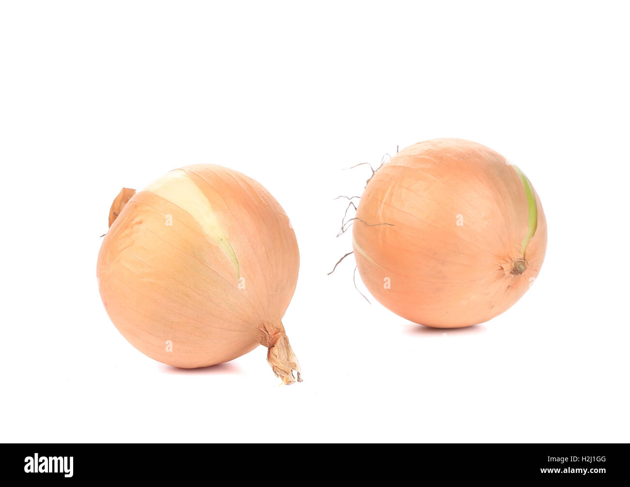 Close up heap fresh onions Cut Out Stock Images & Pictures - Alamy