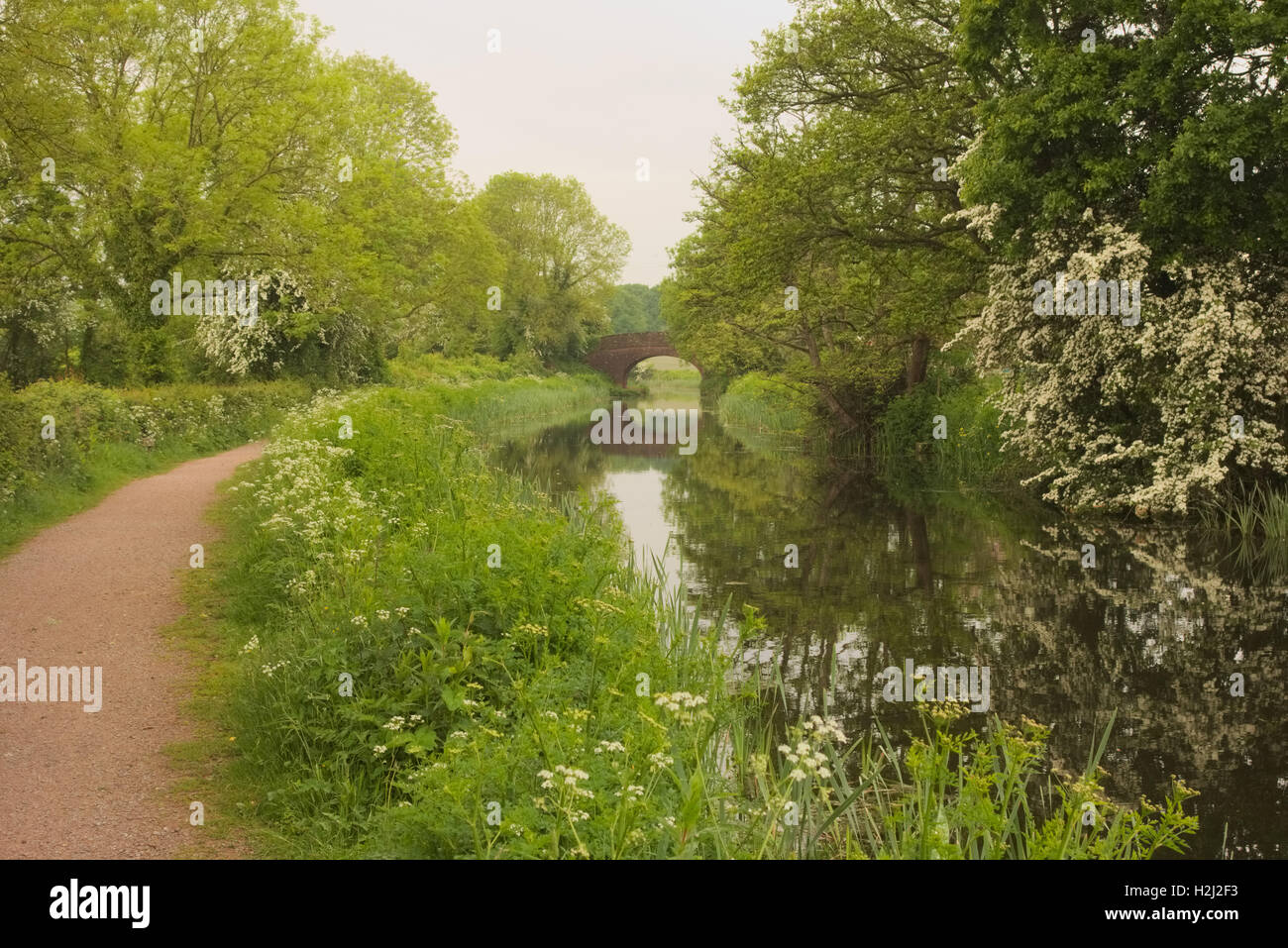 Holbrook Bridge on Grand Western Canal, Devon Stock Photo