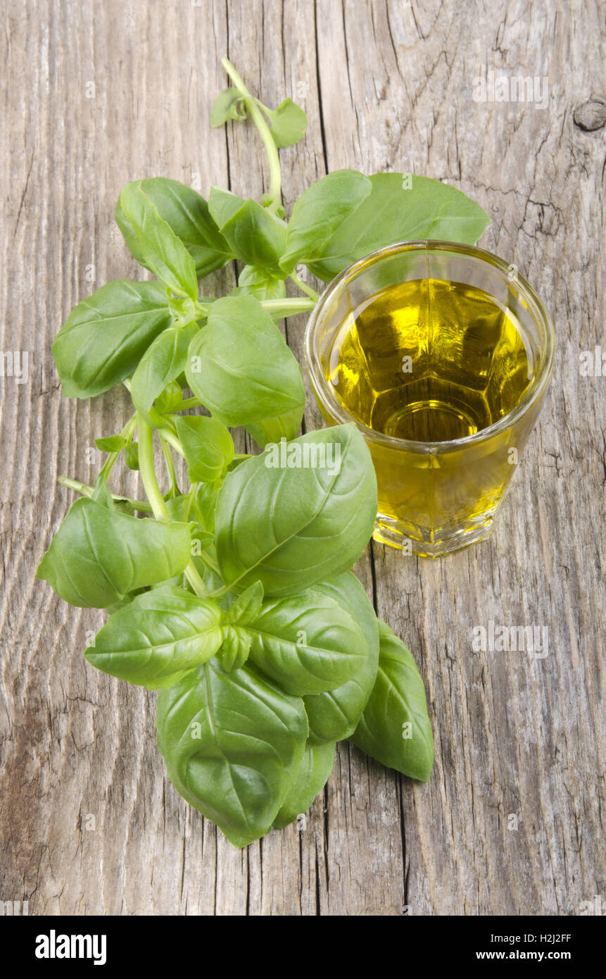 extra virgin olive oil and basil Stock Photo - Alamy