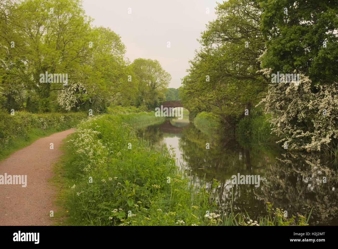 Holbrook Bridge on Grand Western Canal, Devon Stock Photo