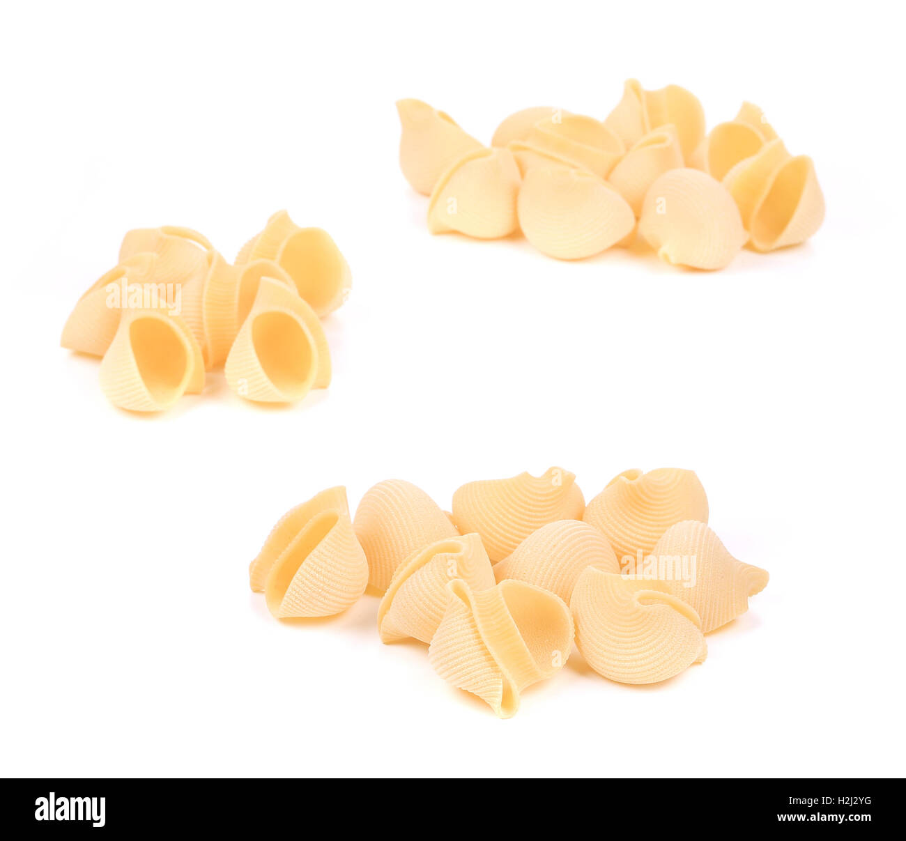 Bunches of Italian pasta shells Stock Photo - Alamy