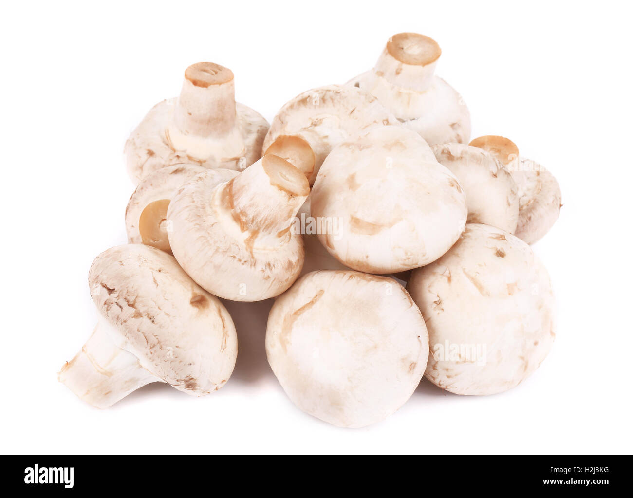 Bunch of white mushrooms close up Stock Photo