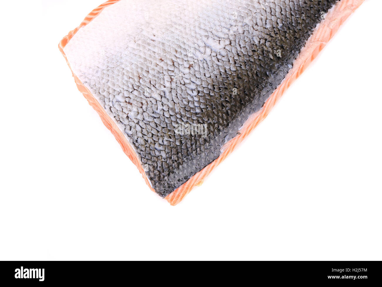Fresh Norwegian salmon closeup. Stock Photo