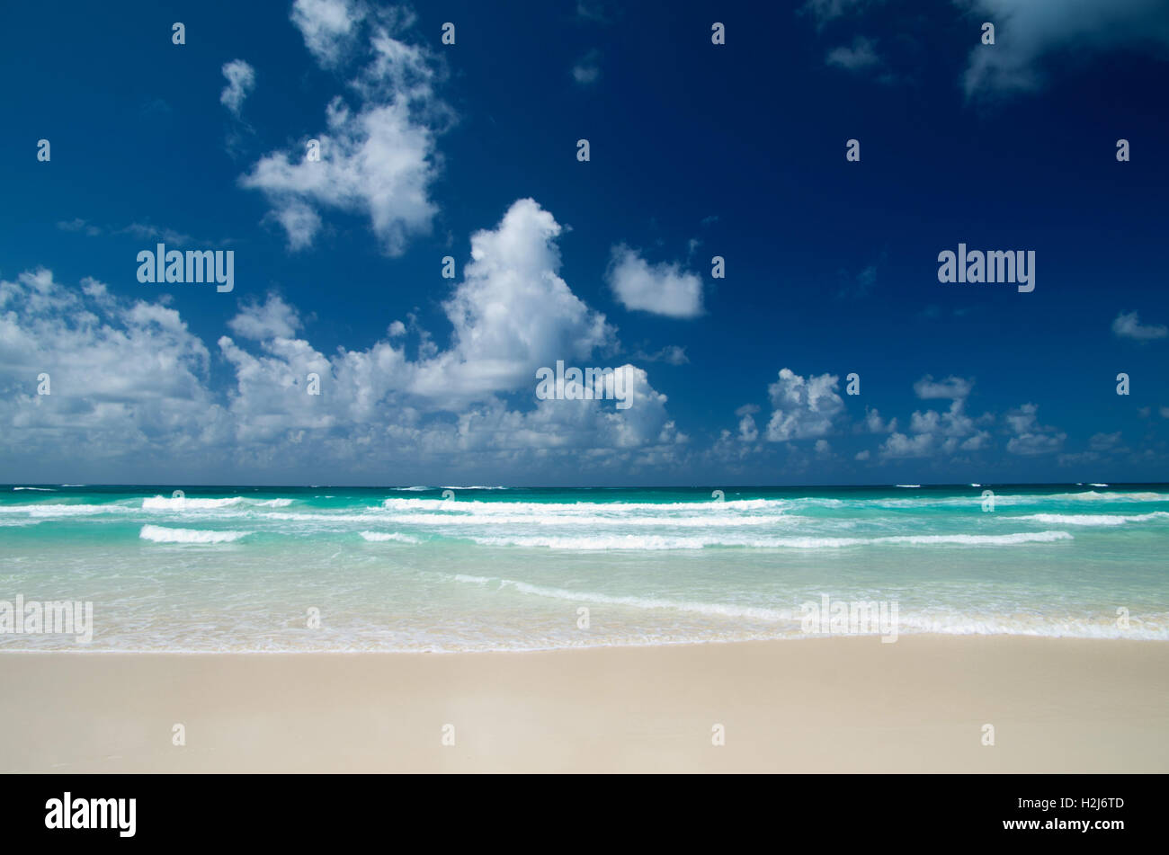 Background scene hi-res stock photography and images - Alamy