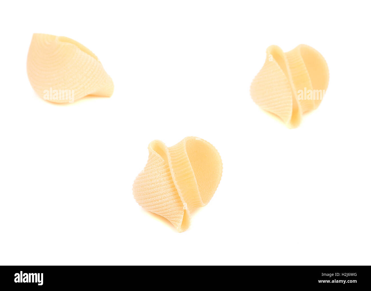 three Italian pasta shells Stock Photo - Alamy