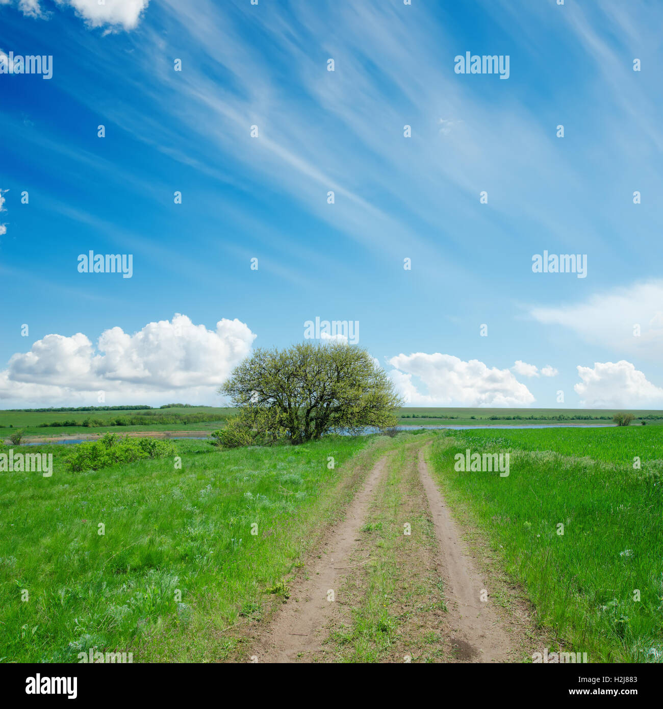 dirty road in green field and blue sky with clouds Stock Photo - Alamy