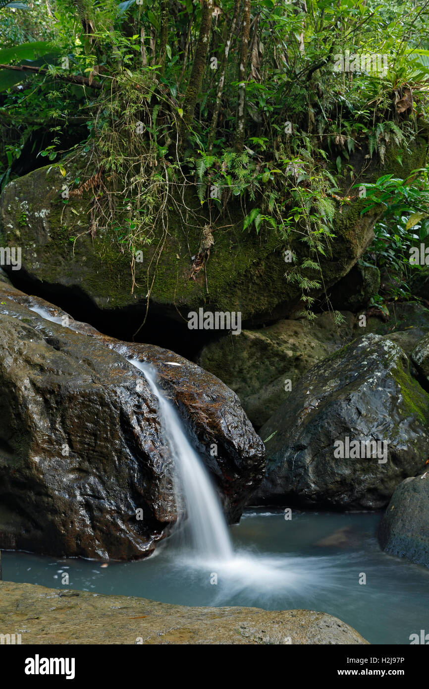 Waterfalls, Caribbean National Forest (El Yunque Rain Forest), Puerto Rico Stock Photo