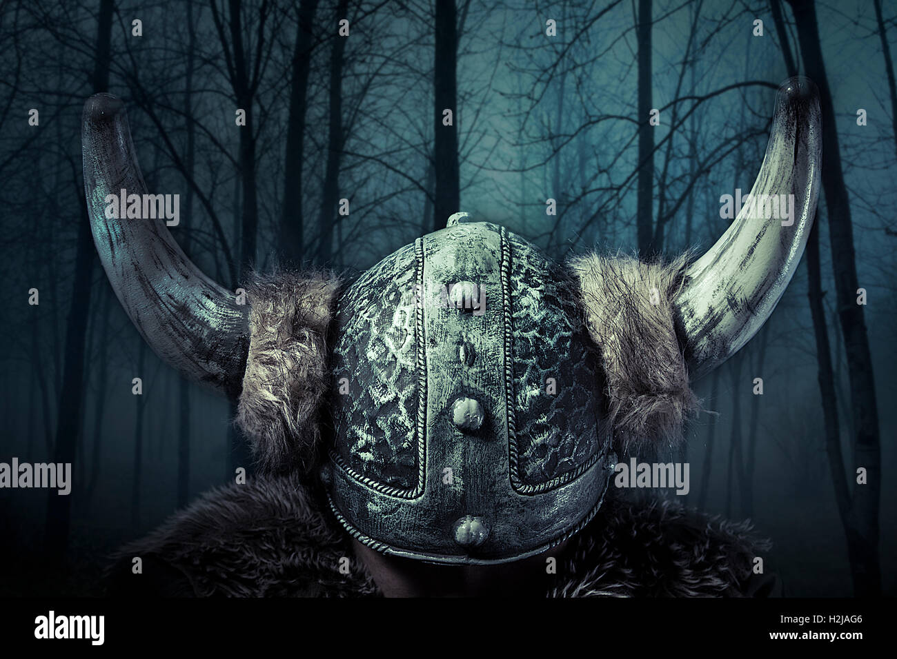 Barbarian Warrior Viking Norse Men's Bomber Jacket