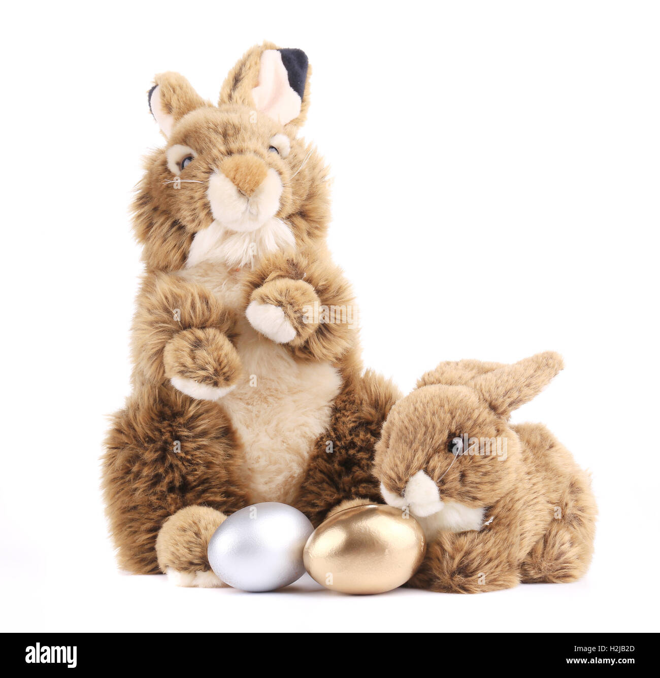 Rabbits and golden egg hi-res stock photography and images - Alamy