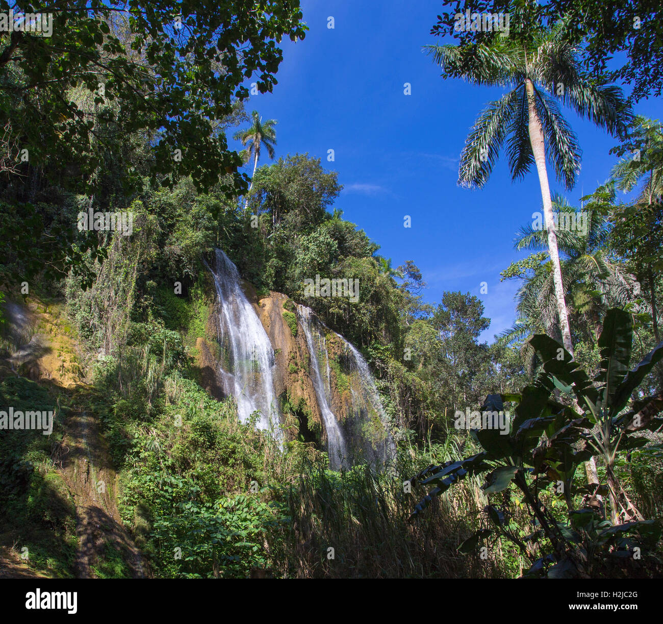 Waterfall in a lush rainforest. Vegas grande waterfall in Topes de
