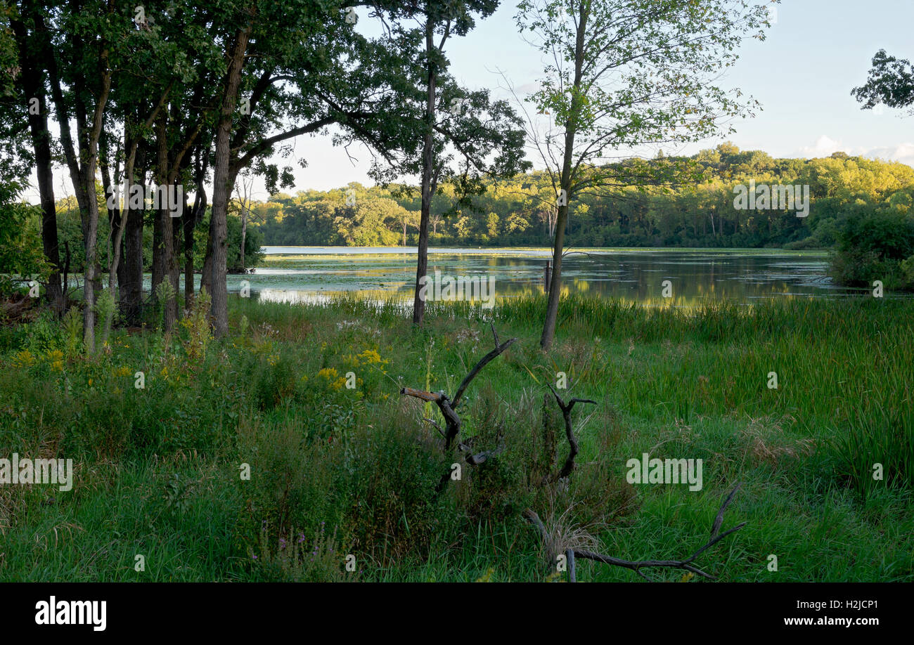 woodlands marshes and lake of normandale lake park in bloomington minnesota Stock Photo