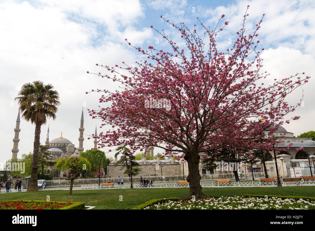 Springtime in Istanbul, Turkey Stock Photo