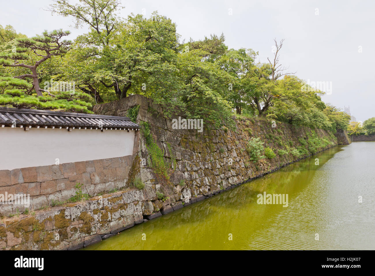 Moat (hori) and stone walls (ishigaki) of Wakayama castle, Japan Stock Photo