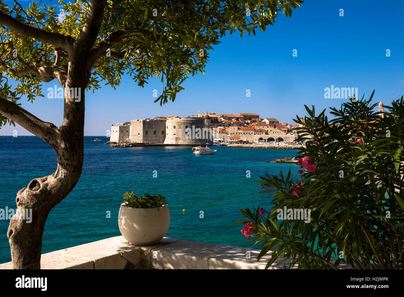 Stari grad (old town) and the old harbour, from the terrace of the ...