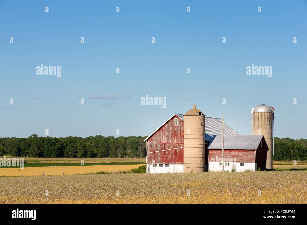 Classic rural farm scene with a weathered red barn, silos, golden crops ...