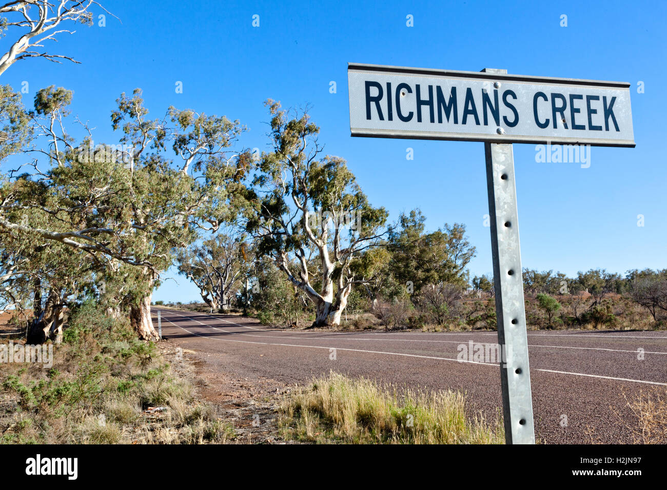majestic river gums at Richmans Creek near Quorn, South Australia Stock Photo