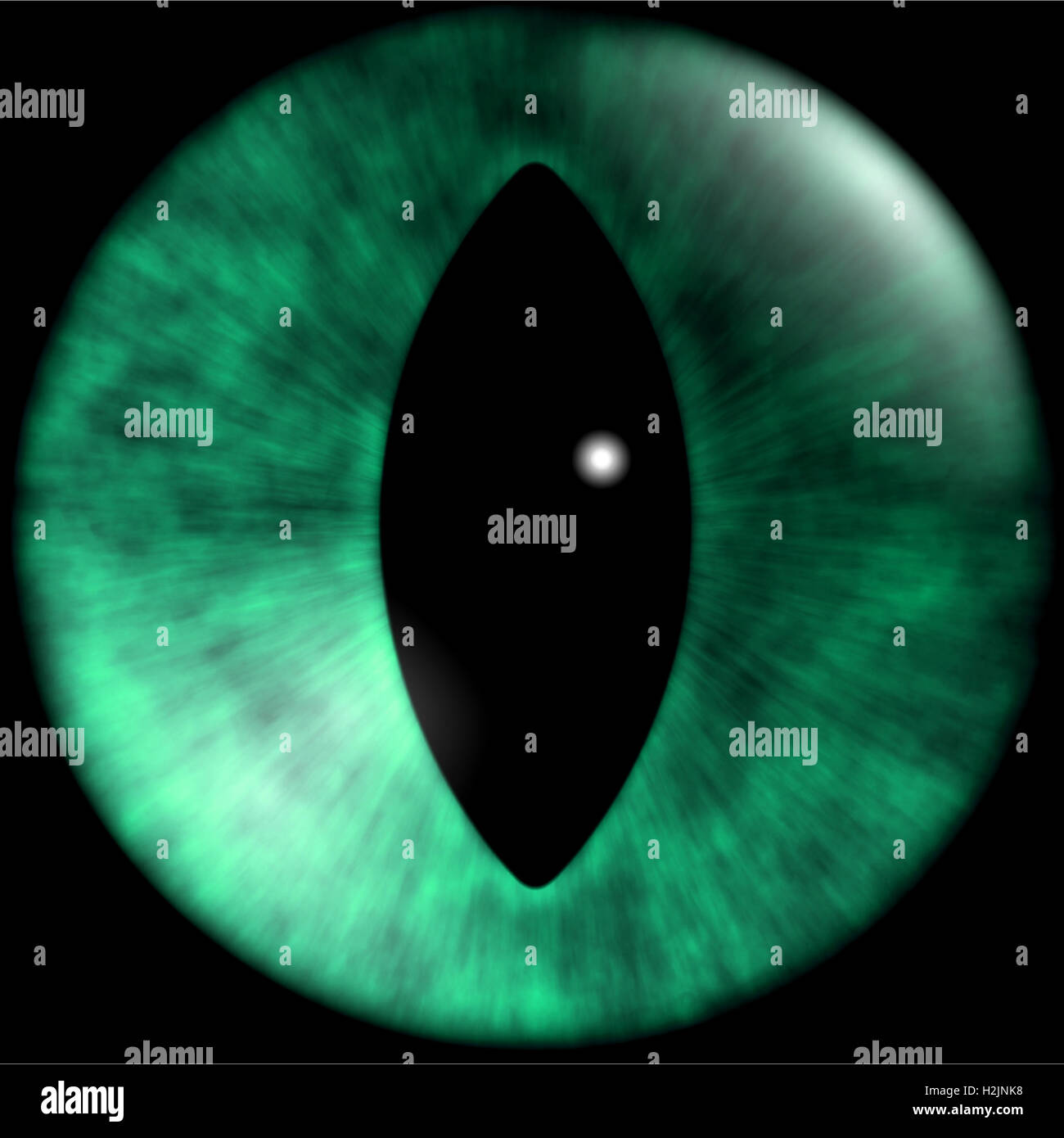 texture of cat eyes Stock Photo Alamy
