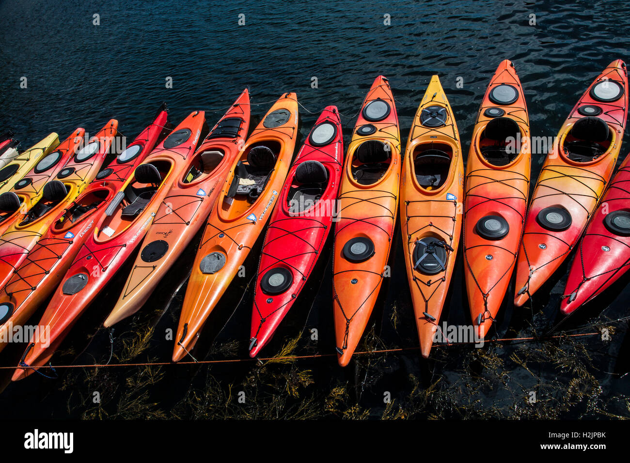 Close up colourful abstract pattern of a row of Kayaks, Rockport, Massachusetts, USA, New England, America, file sz 11.05mb compressed, 300dpi Stock Photo