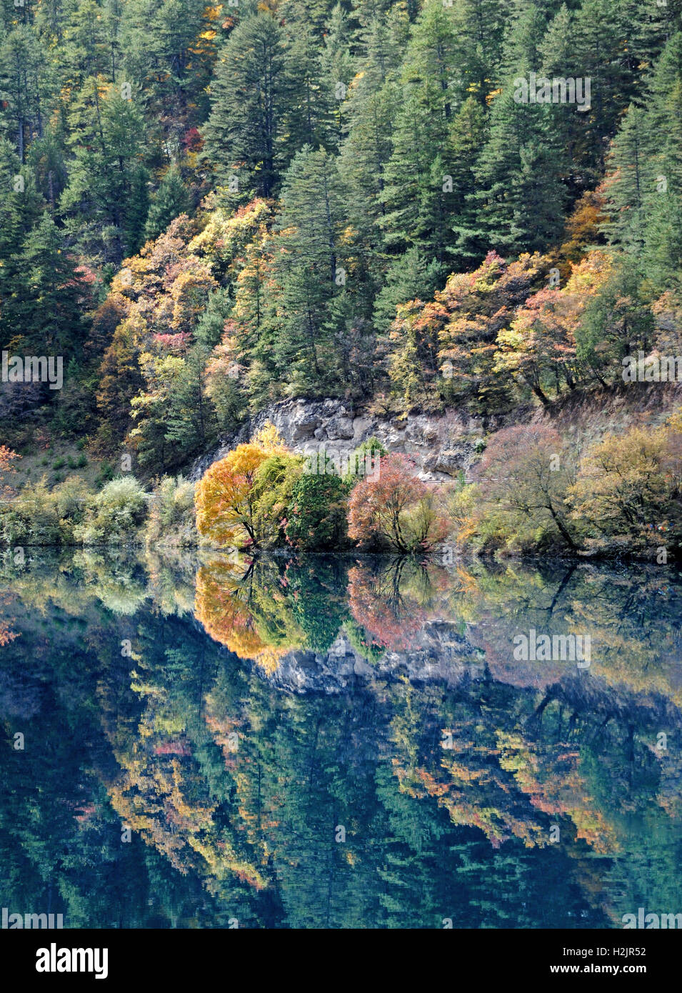 Autumn Colors In Vilas Park Lagoon >> The Autumn Colors Of Pine Trees Reflect In The Emerald Waters Of Autumn Colors In Vilas Park Lagoon >> The Autumn Colors Of Pine Trees Reflect In The Emerald Waters Of