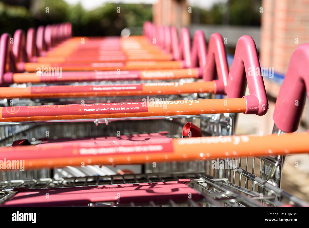 Sainsbury’s shopping trolleys belonging to the popular supermarket chain parked in a row outdoors with no groceries in the carts Stock Photo