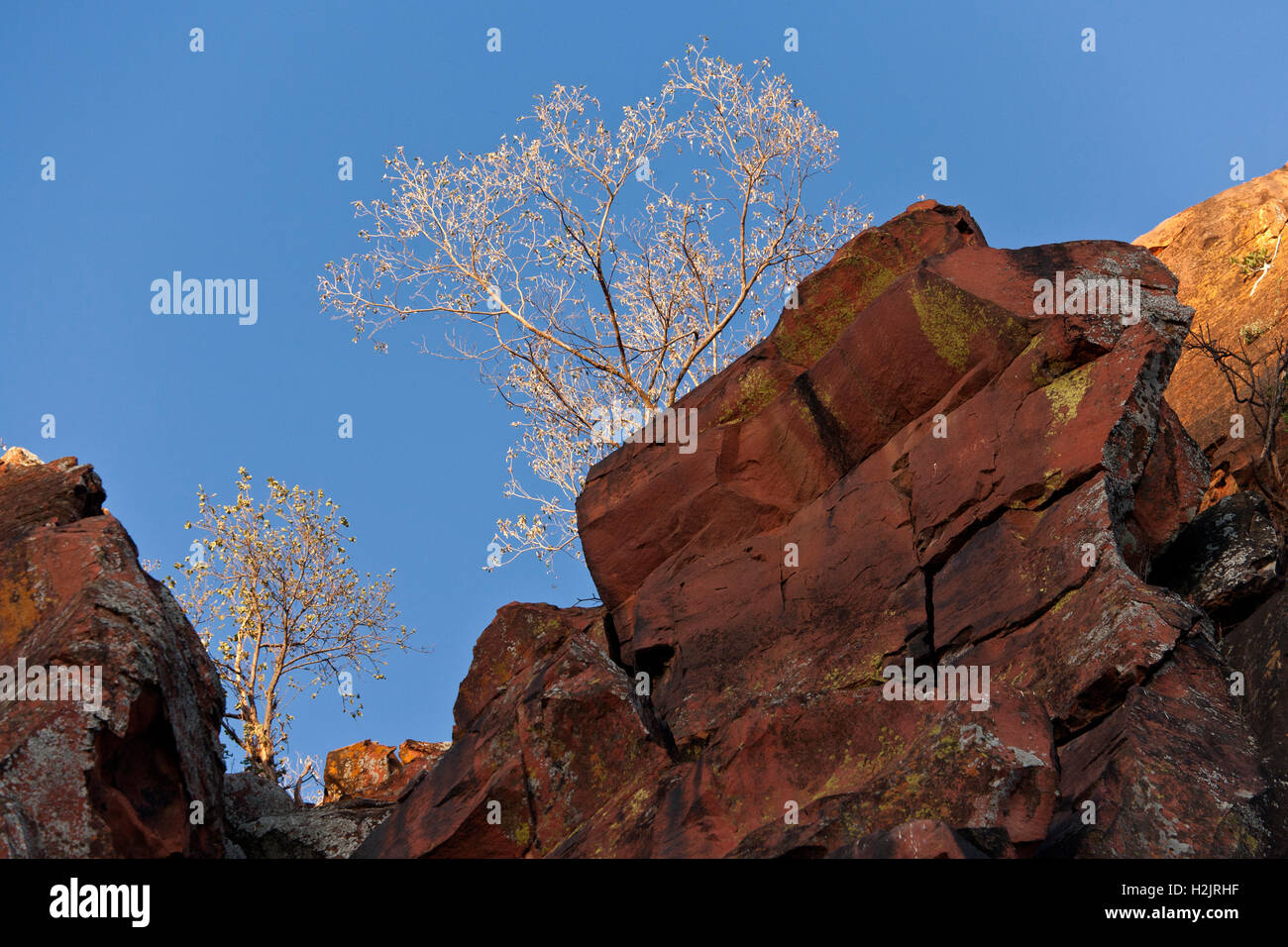 Namibia Cliffs Cliff top plateau hi-res stock photography and images - Alamy
