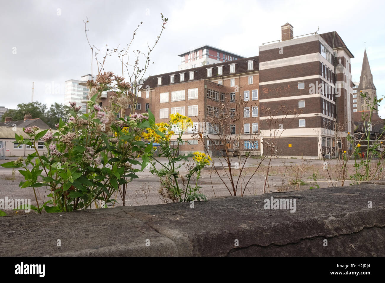 29th September 2016, Flowers in front of the old West wing of Cardiff Royal  infirmary Stock Photo - Alamy