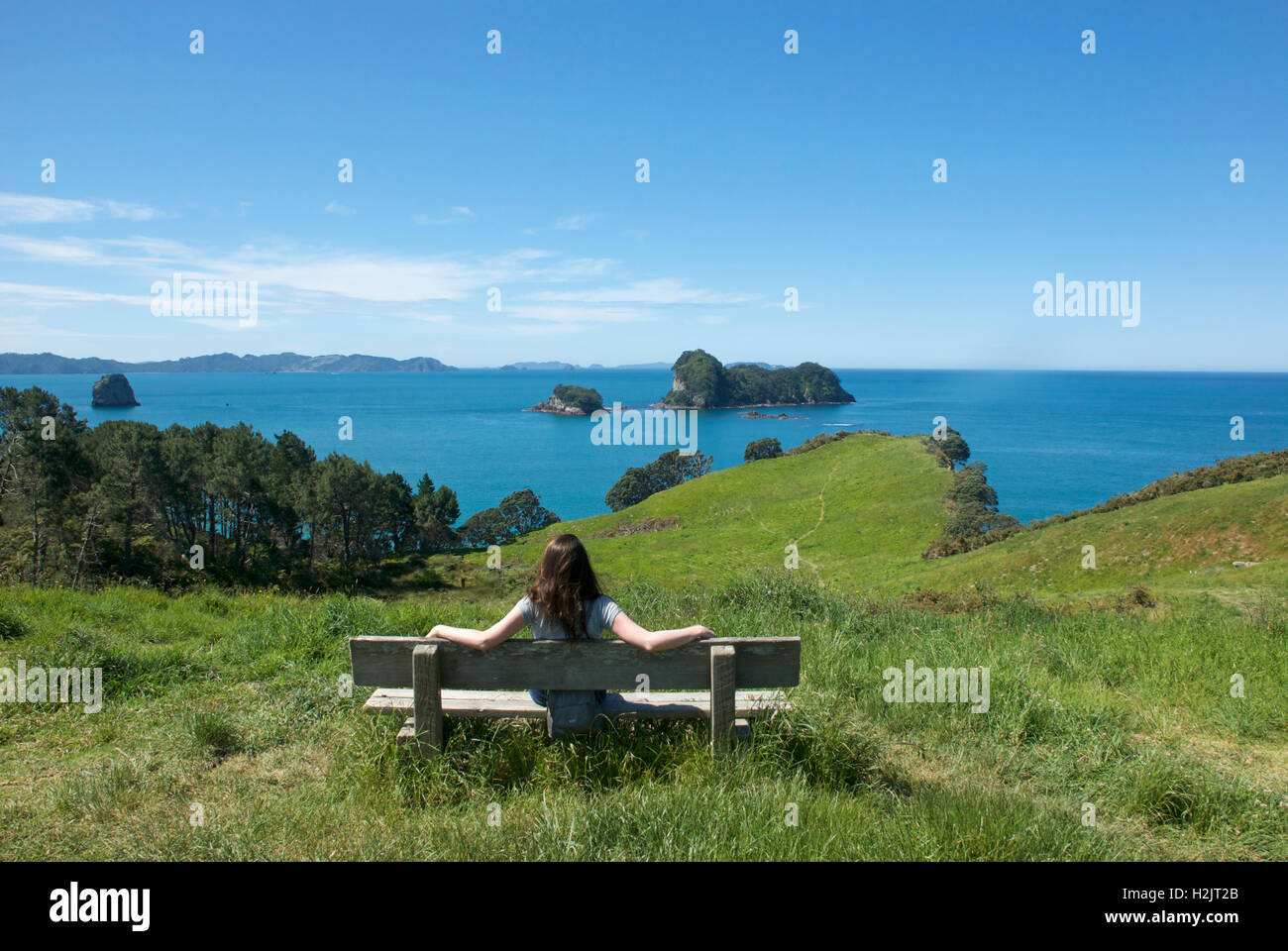 Looking out to sea at the Coromandel Peninsula in New Zealand. Stock Photo